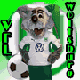 Benutzeravatar